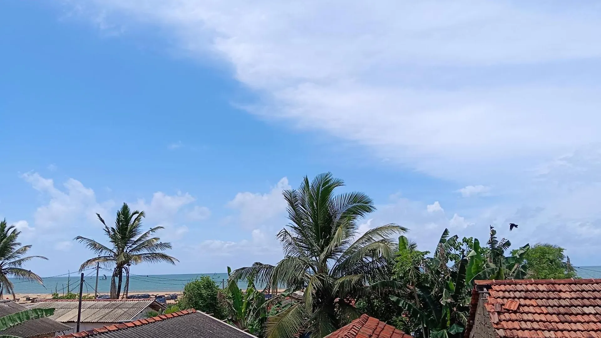 Oleesha Hotel & Restaurant Negombo Sri Lanka